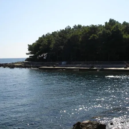 Apartment Grzalja-rozic