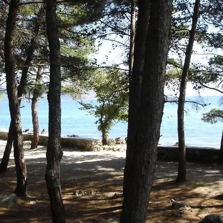 Grzalja-rozic Krk Town