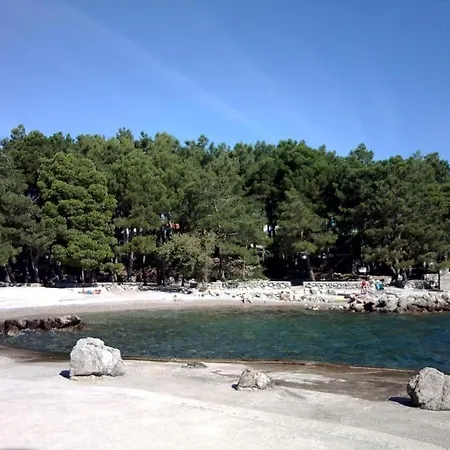 Grzalja-rozic *